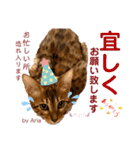 アリスタ726＊2021（個別スタンプ：13）