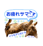 アリスタ726＊2021（個別スタンプ：14）