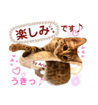 アリスタ726＊2021（個別スタンプ：15）
