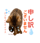 アリスタ726＊2021（個別スタンプ：16）
