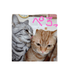 プリンちゃんとマロンちゃん2021（個別スタンプ：1）