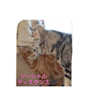プリンちゃんとマロンちゃん2021（個別スタンプ：2）