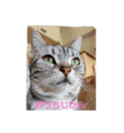プリンちゃんとマロンちゃん2021（個別スタンプ：4）