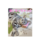 プリンちゃんとマロンちゃん2021（個別スタンプ：6）
