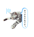 足長マンチのちくわちゃん。（個別スタンプ：2）