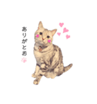 足長マンチのちくわちゃん。（個別スタンプ：5）