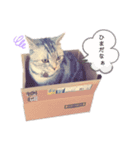 足長マンチのちくわちゃん。（個別スタンプ：7）