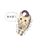 足長マンチのちくわちゃん。（個別スタンプ：15）