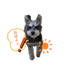 ロン⭐️モモ（個別スタンプ：2）