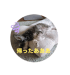 ロン⭐️モモ（個別スタンプ：6）