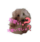 ロン⭐️モモ（個別スタンプ：15）