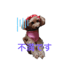 ロン⭐️モモ（個別スタンプ：18）
