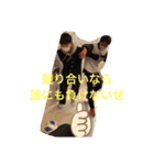 キムスタンプいち（個別スタンプ：1）