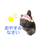 ブリショーのくろごまスタンプ（個別スタンプ：2）