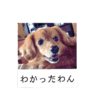 こまちときょの（個別スタンプ：15）