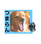 こまちときょの（個別スタンプ：17）