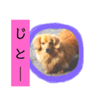 こまちときょの（個別スタンプ：18）