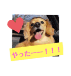 こまちときょの（個別スタンプ：19）