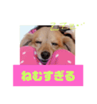こまちときょの（個別スタンプ：20）