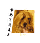 こまちときょの（個別スタンプ：21）
