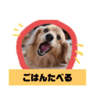 こまちときょの（個別スタンプ：22）