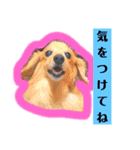 こまちときょの（個別スタンプ：23）