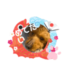 チョコちゃんスタンプ！！！（個別スタンプ：6）