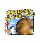 チョコちゃんスタンプ！！！（個別スタンプ：9）
