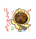 チョコちゃんスタンプ！！！（個別スタンプ：20）