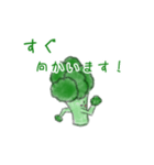 ブロッコリーbroccoli（個別スタンプ：8）