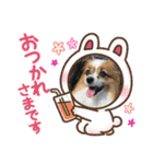 パスカルくん（個別スタンプ：8）