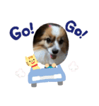 パスカルくん（個別スタンプ：12）