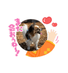 パスカルくん（個別スタンプ：17）