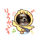 パスカルくん（個別スタンプ：21）