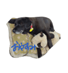 まあやんとじゅに（個別スタンプ：9）