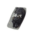 まあやんとじゅに（個別スタンプ：10）