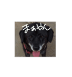 まあやんとじゅに（個別スタンプ：34）