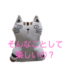 猫のぬいぐるみスタンプ（個別スタンプ：1）