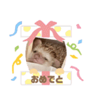モカよく使う（個別スタンプ：10）