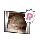 モカよく使う（個別スタンプ：15）
