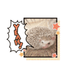 モカよく使う（個別スタンプ：23）
