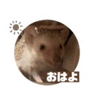 モカよく使う（個別スタンプ：28）