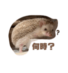 モカよく使う（個別スタンプ：30）