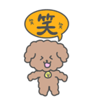 もこもこトイプードル【ぽこ】漢字（個別スタンプ：5）