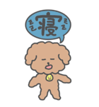 もこもこトイプードル【ぽこ】漢字（個別スタンプ：20）