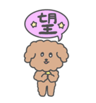 もこもこトイプードル【ぽこ】漢字（個別スタンプ：24）