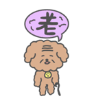 もこもこトイプードル【ぽこ】漢字（個別スタンプ：30）