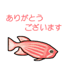 熱帯魚うじゃうじゃ（個別スタンプ：8）