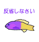 熱帯魚うじゃうじゃ（個別スタンプ：21）