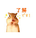甘えんboyミカド（個別スタンプ：1）